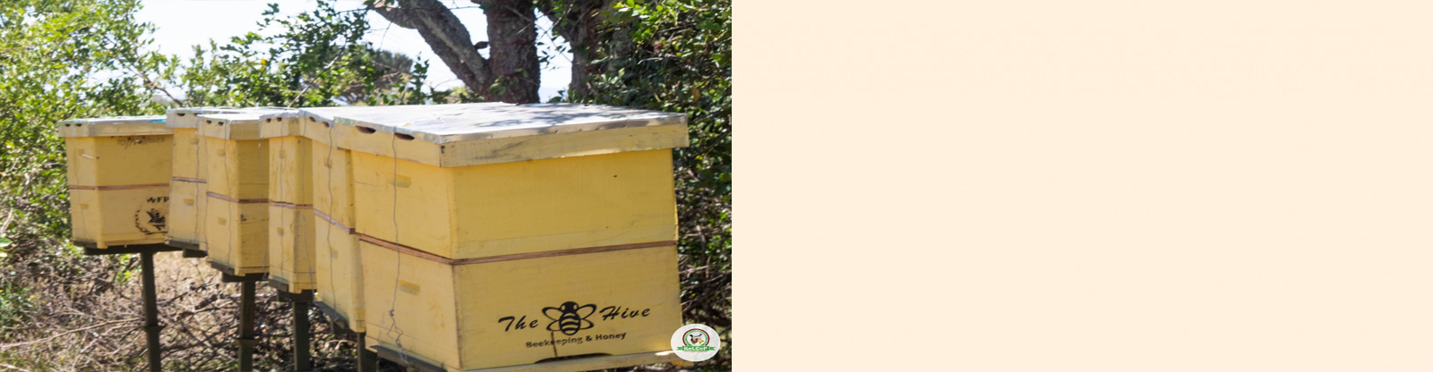 apiculture.png